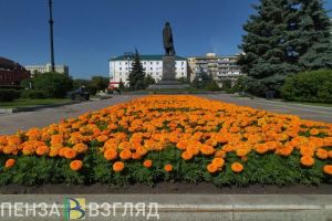 В Пензе высадят более 170 тысяч цветов