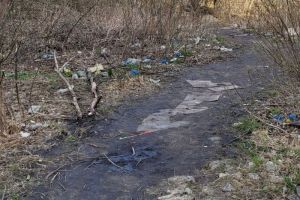 Жительница пензенской Терновки попросила превратить «свалку» обратно в парк