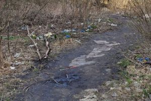 Пензячка, которая жаловалась на «свалку» в центре Терновки, получила ответ