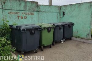 Пензенские школьники и студенты поучаствовали в акции «Мы за чистый город»