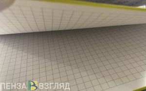 Пензенцам рассказали, могут ли заключить соцконтракт работающие по найму