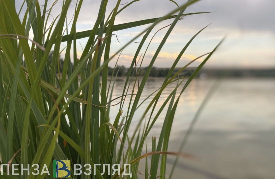 Пензенцев приглашают на субботник по уборке набережной Суры