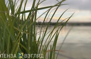 Пензенцев приглашают на субботник по уборке набережной Суры