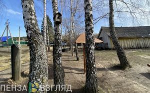 До -4 градусов прогнозируют в Пензенской области