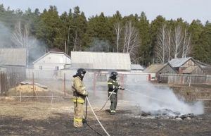 В Пензенской области три полевых пожара переросли в лесные