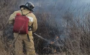 Случаи возгорания сухой травы в Пензенской области увеличились в 100 раз