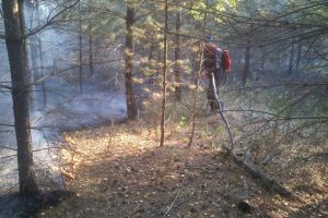 За один день в Сердобском районе ликвидировали два лесных пожара