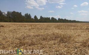 В Пензенской области началась посевная кампания