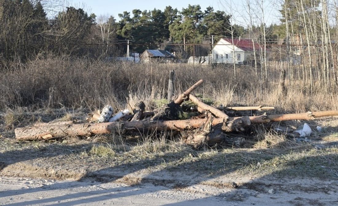 В Пензе проверили благоустройство отдаленных районов