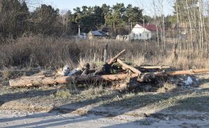 В Пензе проверили благоустройство отдаленных районов