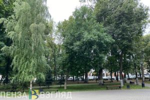 Мельниченко поручил продумать создание нового сквера в Пензе