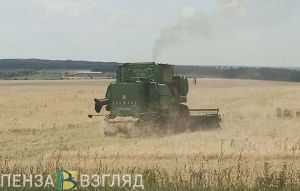 В Пензенской области для весеннего сева потребуется 102 тысячи тонн семян яровых культур