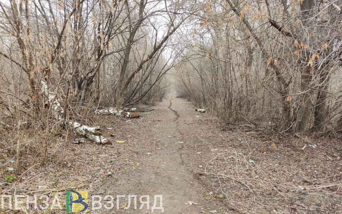 До минус 2 градусов прогнозируют пензенцам в среду