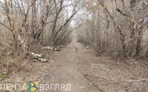 До минус 2 градусов прогнозируют пензенцам в среду