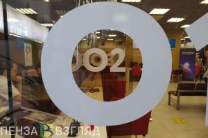 Назначение мер соцподдержки жителям Пензенской области могут упростить