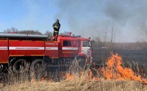 За сутки пензенские пожарные потушили два очага возгорания сухой травы