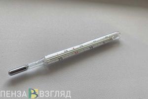 На 15,8% снизилась заболеваемость ОРВИ в Пензенской области