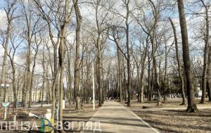 Пензенцам прогнозируют грозу и сильный ветер в четверг