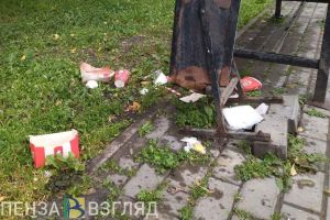 Около 1 тысячи нарушений обращения с мусором зафиксировано в Пензенской области в 2022 году