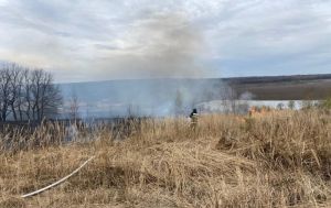 Рано утром на окраине Пензы вспыхнула сухая трава