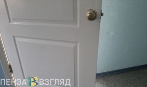 Более 50 жителей Пензенской области пострадали от нападения клещей
