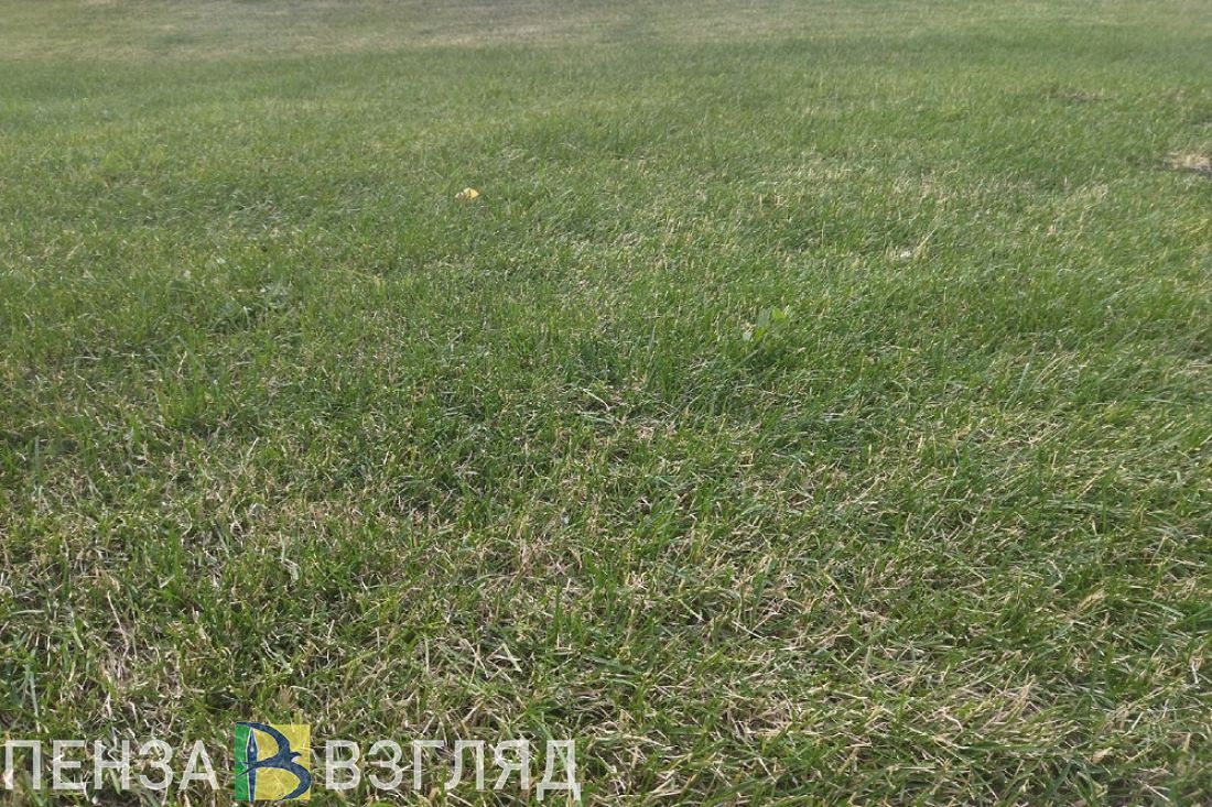 Пензенский Минсельхоз переходит на усиленный режим патрулирования