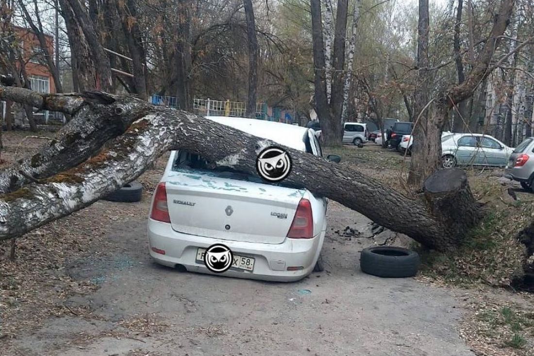 В Пензе легковой автомобиль придавило большим деревом