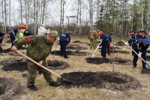 В Селиксе высадили 78 рябин в память о погибших участниках ВОВ