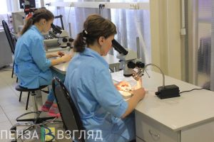 В Пензенской области выросло число разработанных передовых производственных технологий