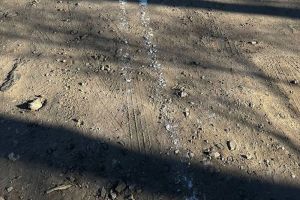 Жителей Пензенской области удивила нанесенная на дорогу разметка