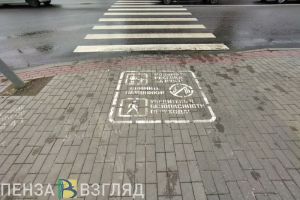 В Пензенской области будут искать нарушителей среди пешеходов