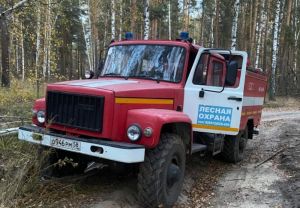 За один день в Пензенской области ликвидированы два лесных пожара