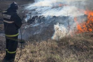 В Пензенском районе пожарные потушили загоревшуюся траву
