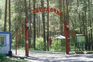 В Заречном стартовал прием заявлений на отдых в летних лагерях