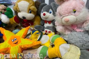 В Башмаковском районе вовремя не проверяли условия жизни детей, оставшихся без попечительства родителей