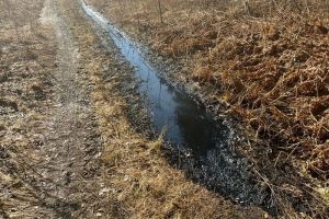 В Следкоме рассказали о ситуации в Кувак-Никольском после разлива экологически опасных веществ