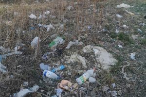 Житель Пензы пожаловался на свалку на улице Терновского