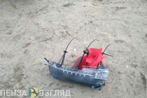 Усманов: «Детские площадки в Пензе превращаются в «бесхоз»