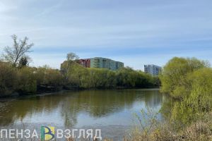 В Пензенской области завтра потеплеет до +19 градусов