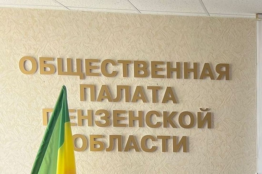 Утвержден новый состав Общественной палаты Пензенской области