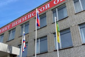 Пензенцы узнали, в каком режиме будут рассылать электронные повестки весной 2023 года