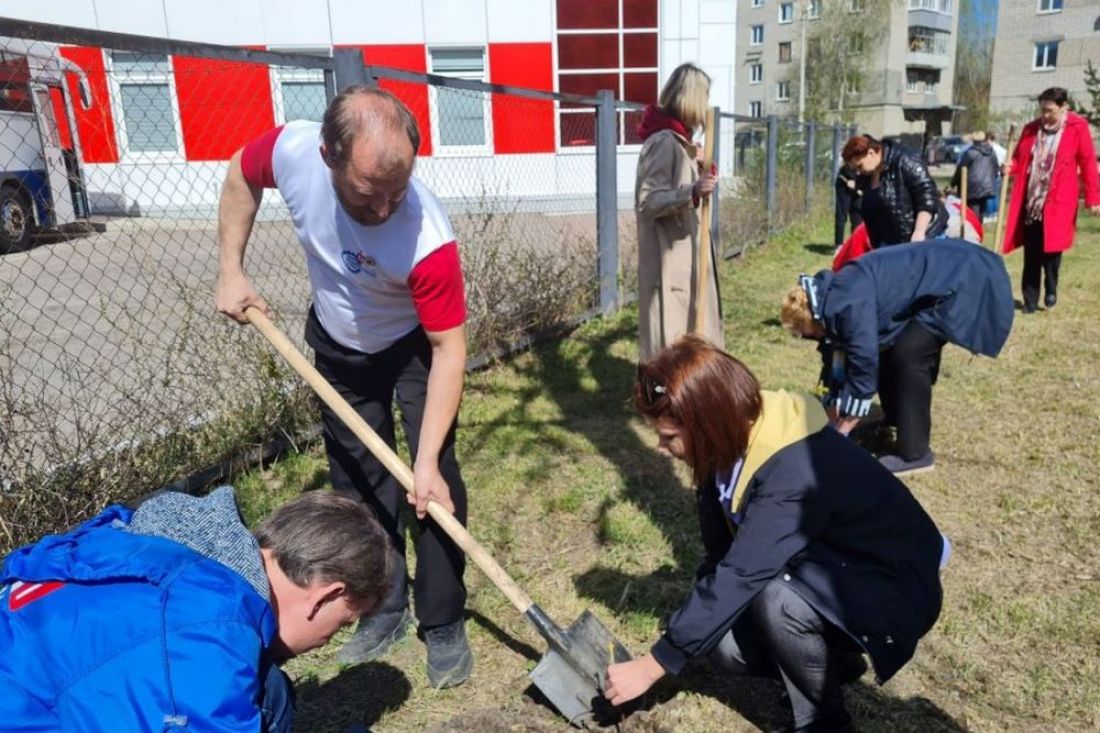 В Пензе заложили каштановую аллею, посвященную почетным донорам