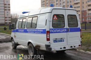 В Пензе на улице Каракозова грабители напали на местного жителя