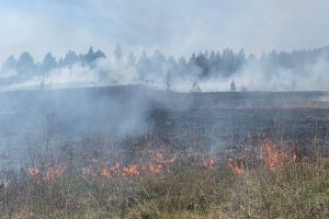 В пензенской деревне загорелось 1,5 гектара сухой травы
