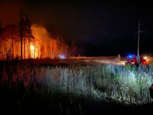 В Пензенской области лесные пожары затронули более 17 гектаров