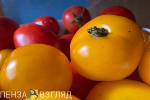 За три месяца 2023 года цены на свежие помидоры в Пензенской области выросли на 97,6%