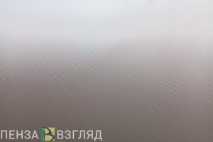 В Суре в Пензе утонул мужчина