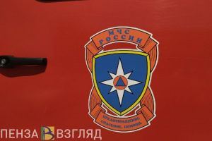 МЧС прогнозирует риск высокой пожарной опасности в Пензенской области 24 апреля