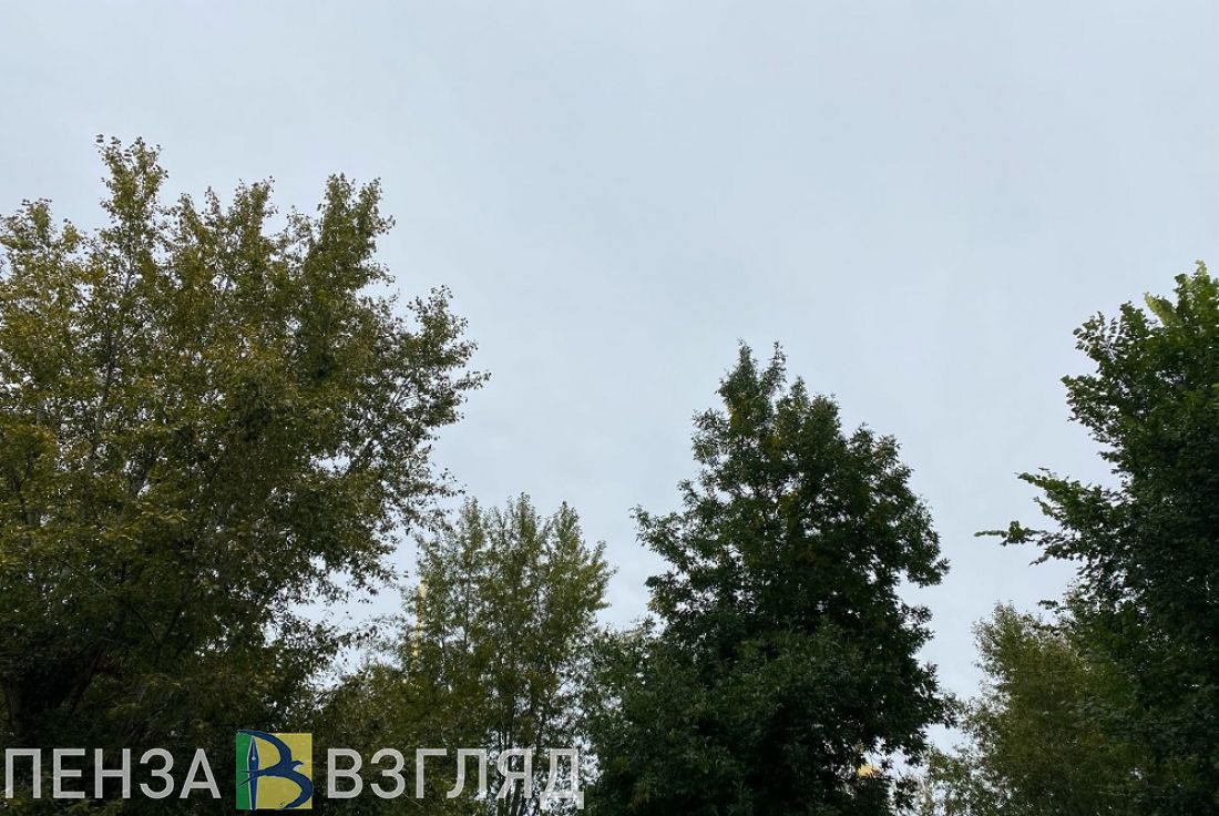 У пензенцев спросили, какой они хотят видеть смотровую площадку на улице Мира