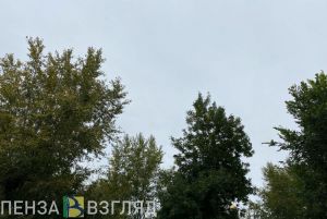У пензенцев спросили, какой они хотят видеть смотровую площадку на улице Мира